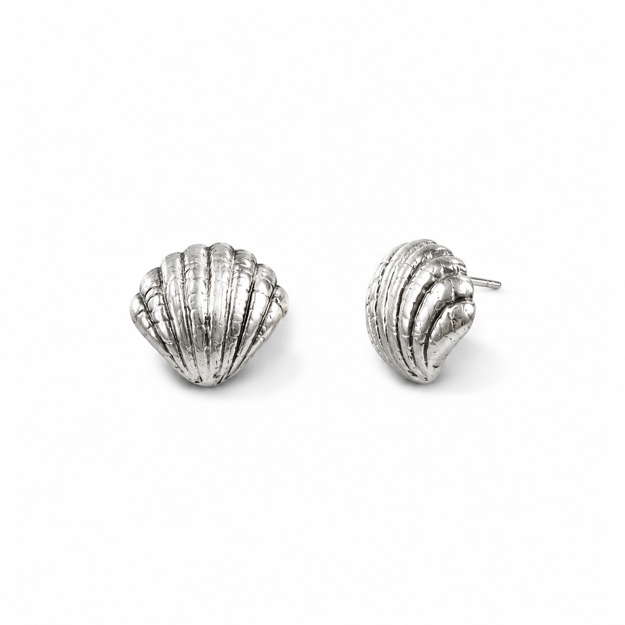 Seashell stud earrings on a white background