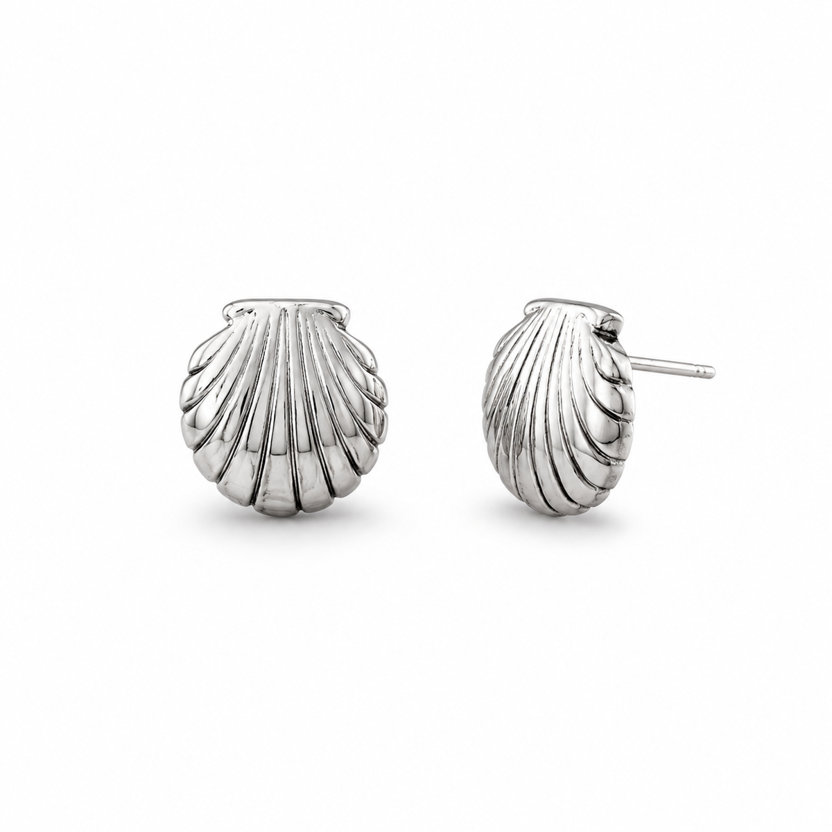 Shell Stud Earrings on a White background