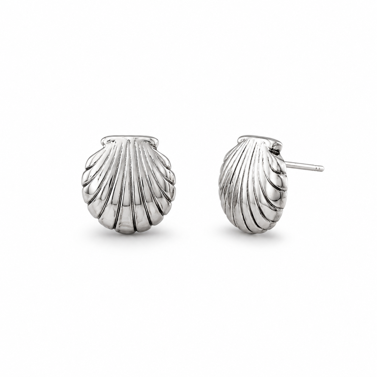Shell Stud Earrings on a White background