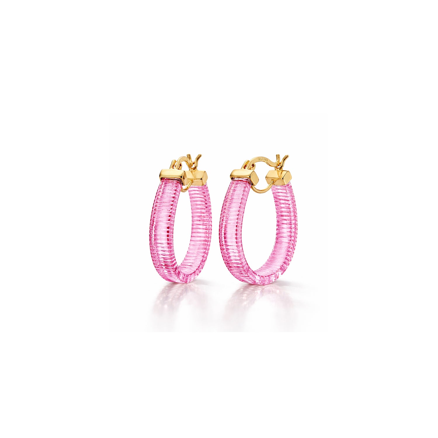 Mini Horseshoe Lucite Hoop Earrings