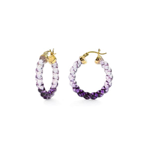 Painted Mini Rope Lucite Hoop Earrings