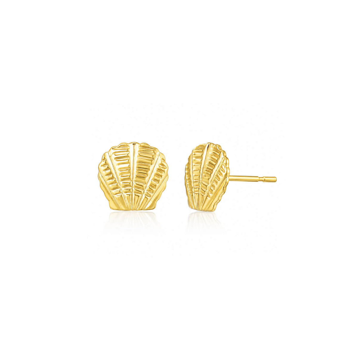 Gold shell-shaped earrings on a white background