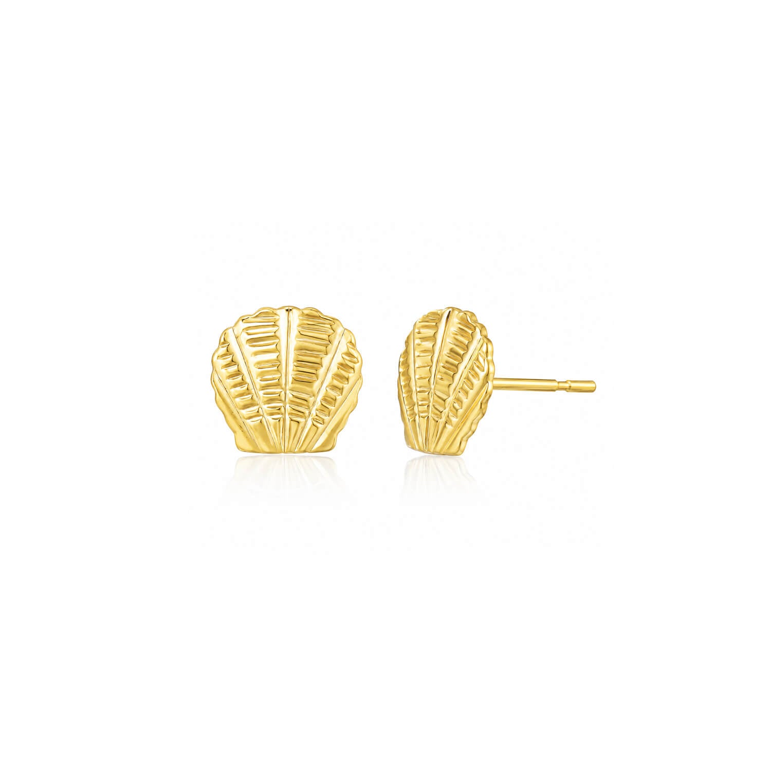 Gold shell-shaped earrings on a white background