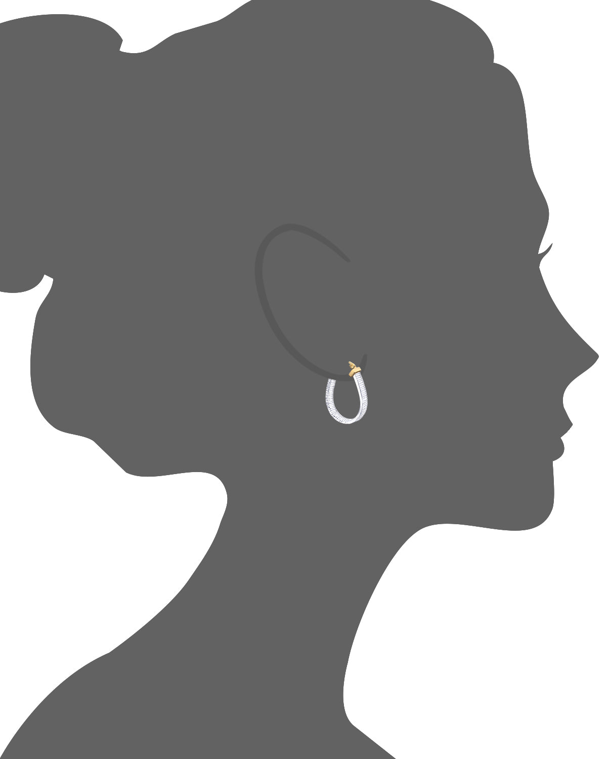 Color Lucite Horseshoe Hoops VECTOR